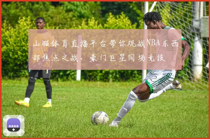 山猫体育直播平台带你观战NBA东西部焦点之战，豪门巨星同场竞技